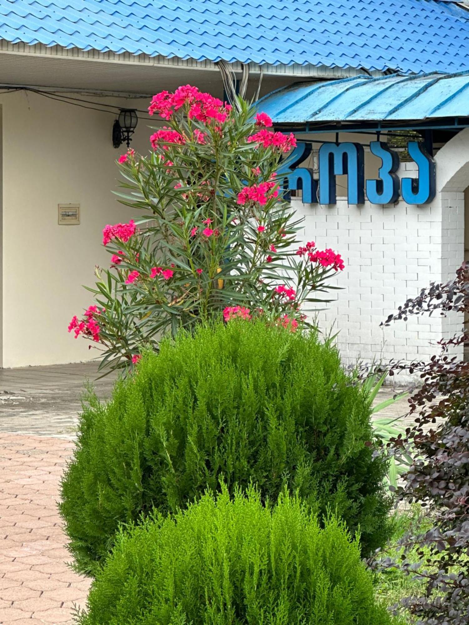 Europa Hotel-Koetaisi Buitenkant foto